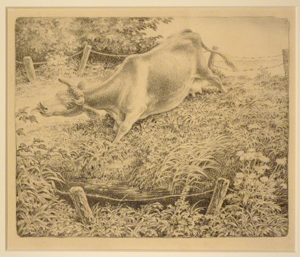 litho reikhalzende koe bij sloot