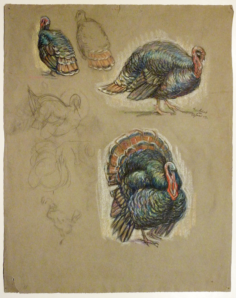 krijttekening kalkoen