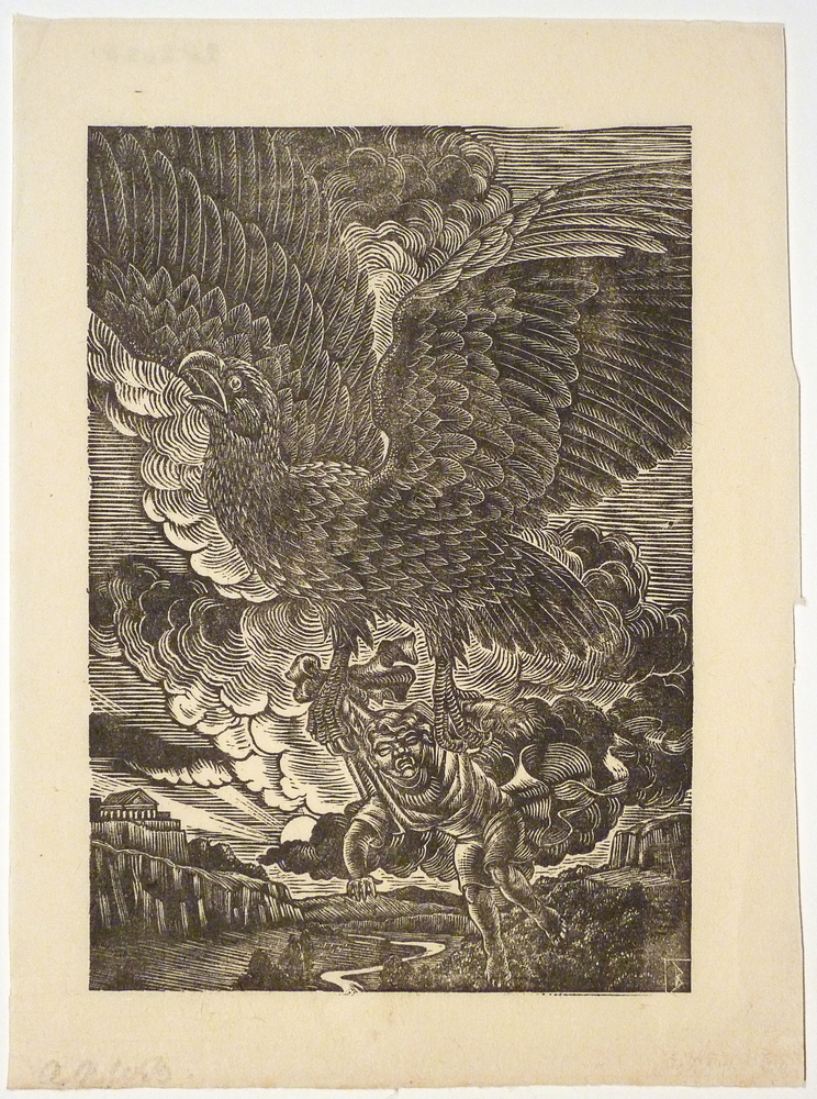 roofvogel met kind in klauw