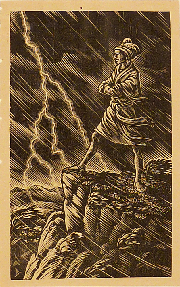 Asoka de wilde prins