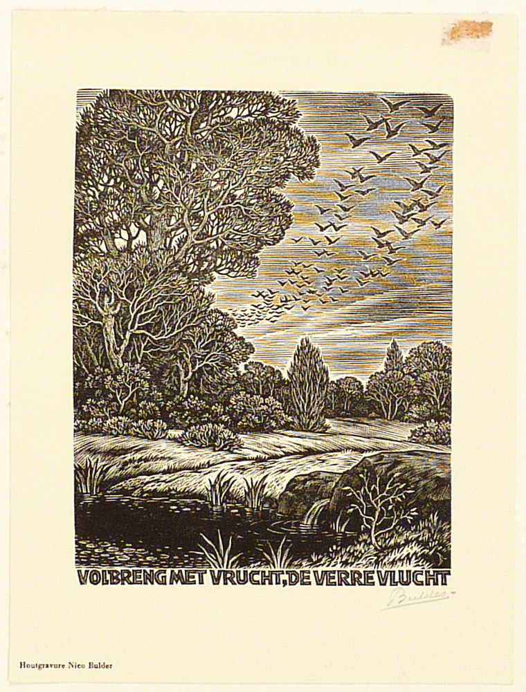 volbreng met vrucht de verre vlucht