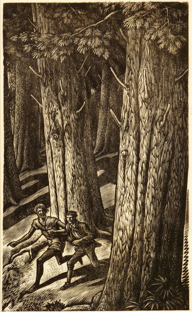 2 mannen tusen bomen uit schateiland