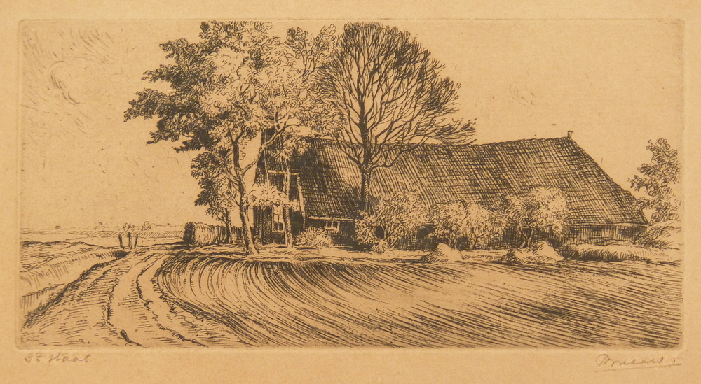 boerderij aan landweg met bomen