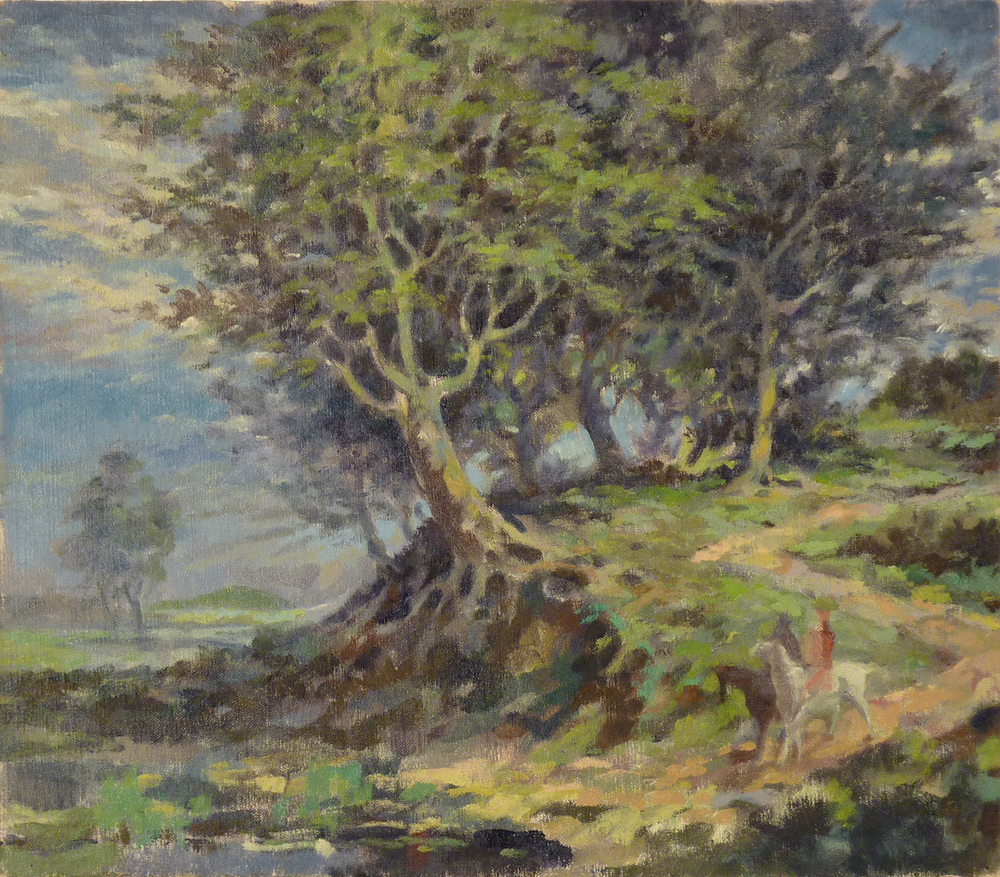 voorstudie bomen met wortels aan landweg