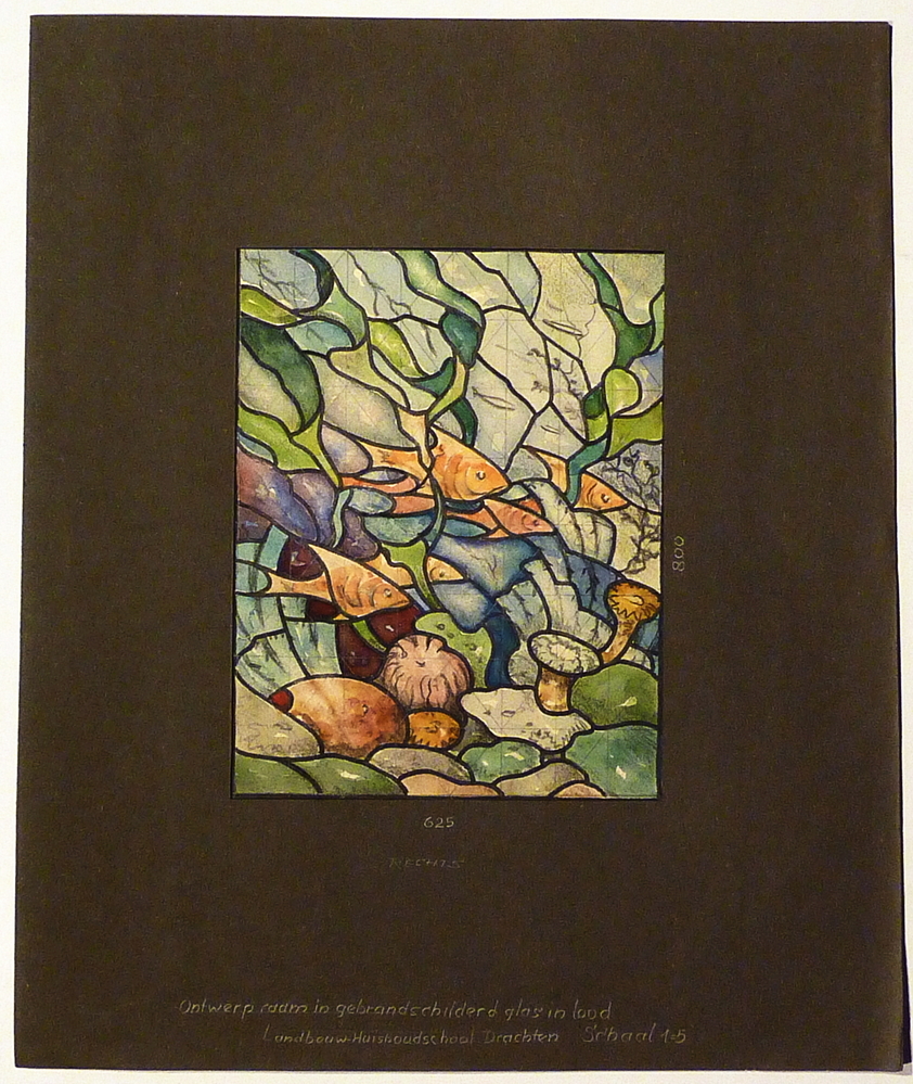 vissen en wieren 625 landbouwhuishoudschool Drachten schaal 1:5