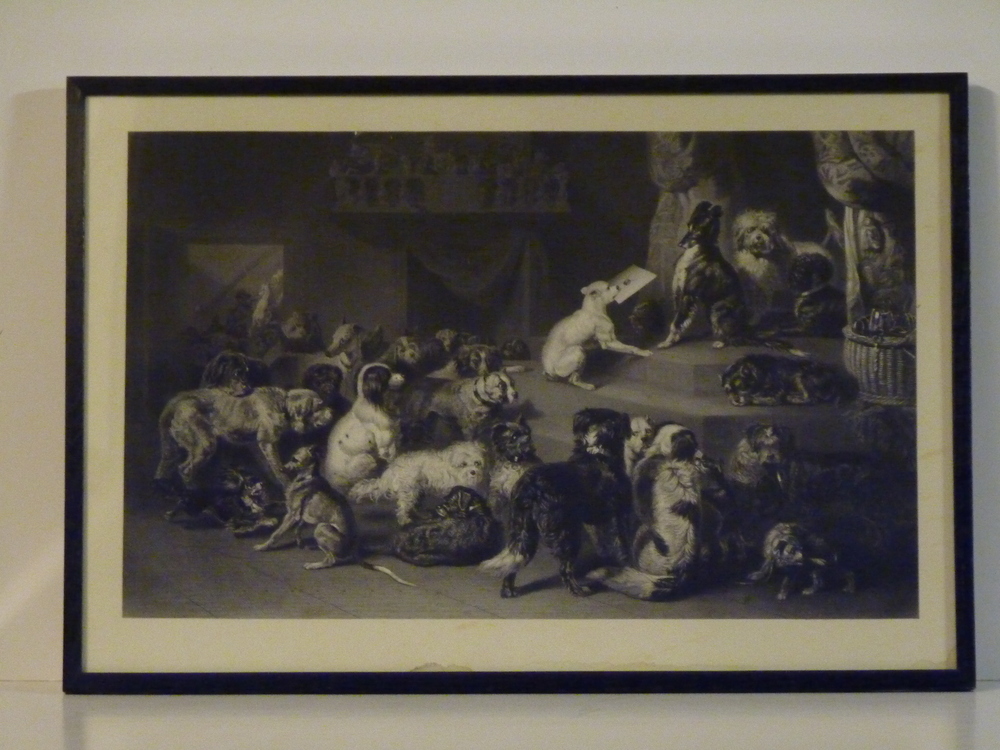 Het Rekest , Dog Petition