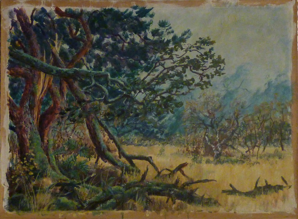 ontwerp voor de prehistoriewand 2004