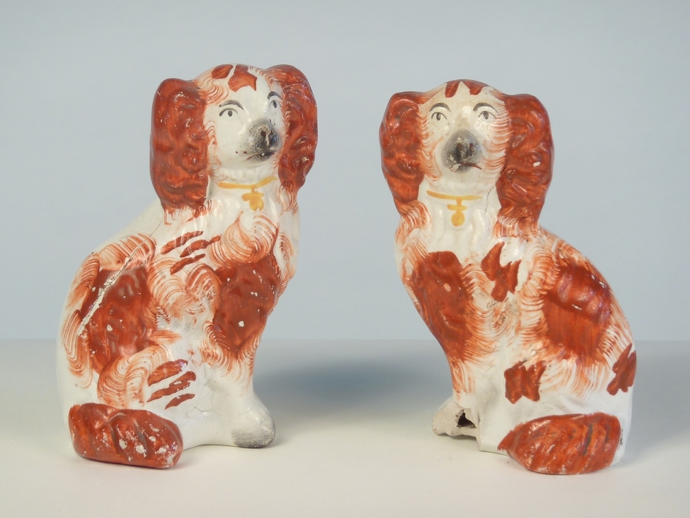 wit zwart geel roodbruine steengoed hond