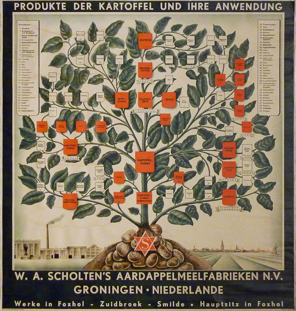 wandplaat boven en onderin donkergroen vlak, linksonderin afbeelding fabriek W.A.Scholten te Foxhol, rechtsonderin afbeelding landschap met molen en op achtergrond stad met toren, in het midden een aardappelplant met daarin alle produkten die er van worden gemaakt, als een soort stamboom, bovenin witte inscriptie : products from the potato and their use