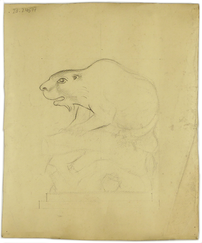 schapenkop, ram en op de achterkant een soort dier, lijkt op een rat of bever