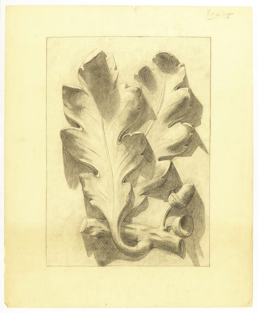 gestilleerde eikenblad