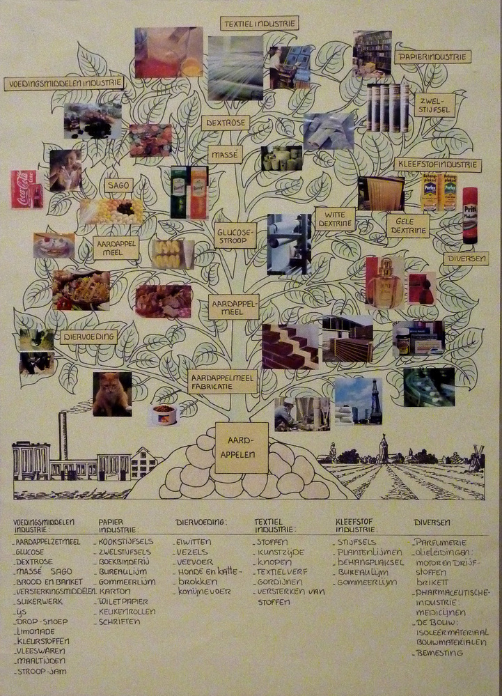 kartonnen plaat met papier beplakt met daarop produkten van de aardappel en hun gebruik ervan.