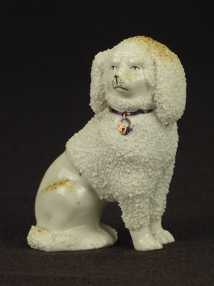 zittende steengoed king charles spaniel met halve lichaam van gruis met losse voorpoten