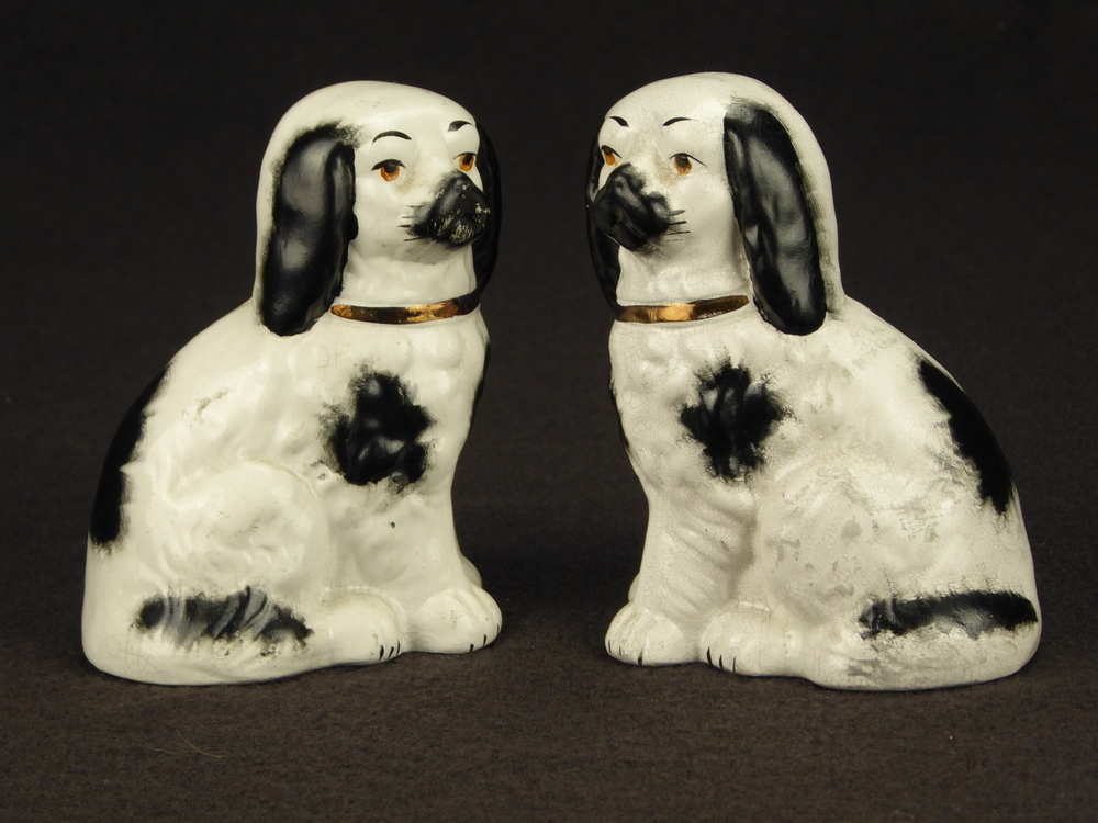 witte steengoed hond, Spaniel, poten past aan lichaam, zwarte vlekken op borst, rug, zwarte oren, gelige ogen, zwarte snuit. gouden halsband, zonder slot.