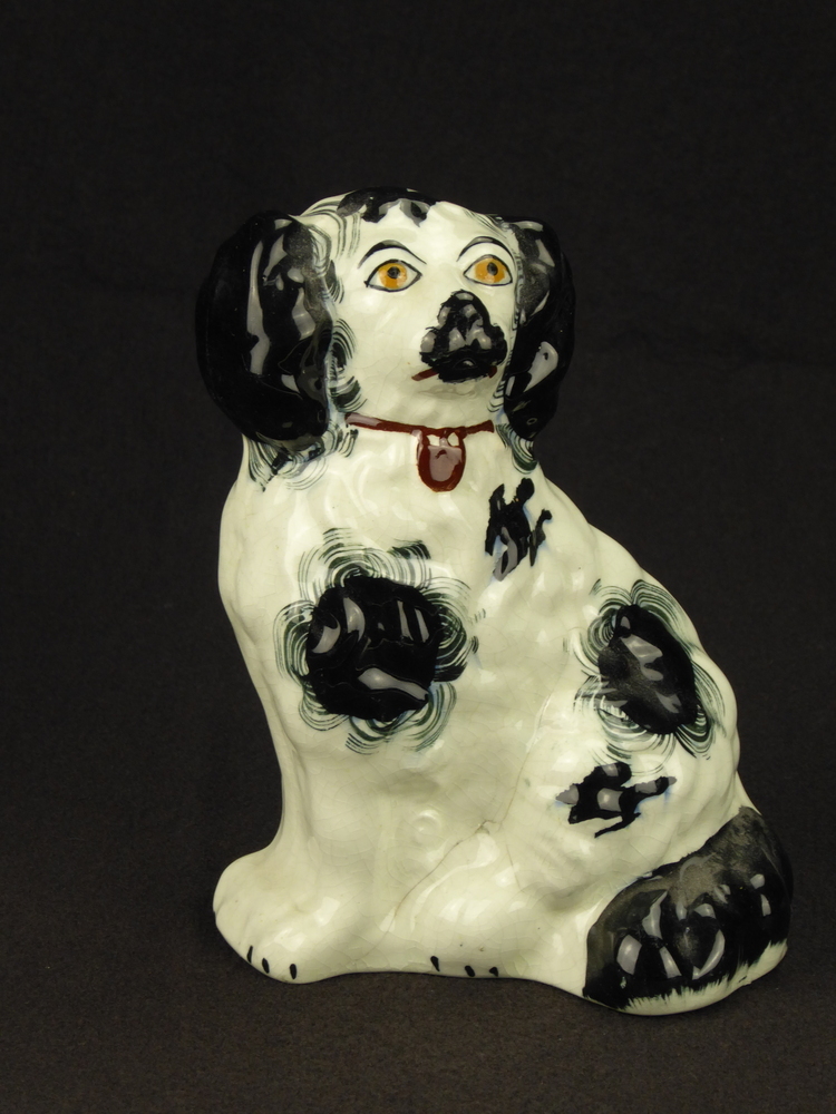 witte steengoed hond, rechter model, geen gegoten ketting, bruine halsband en hangslot, gele ogen, zwarte snuit, vlekken met concentrische cirkels, zwarte staart, zwarte oren en vlek op borstkas