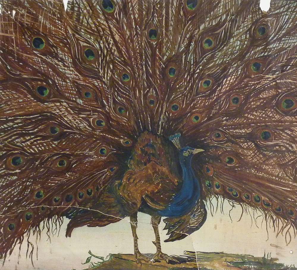 rechthoekige kartonnen plaat met daarop een blauwe pauw met gespreide veren met blauw groene vlekken, staande op een grasachtige ondergrond aan de waterkant, lag in 4 stukken uit elkaar, linksmidden, rechtsboven en gehele ondekant, geplakt met zuurvrije tape, ooit geschilderd door huisschilder E.E.Puister uit Wildervank. Dit is een ontwerp wat huisschilder Puister aan behangmotief / decoratie kon maken