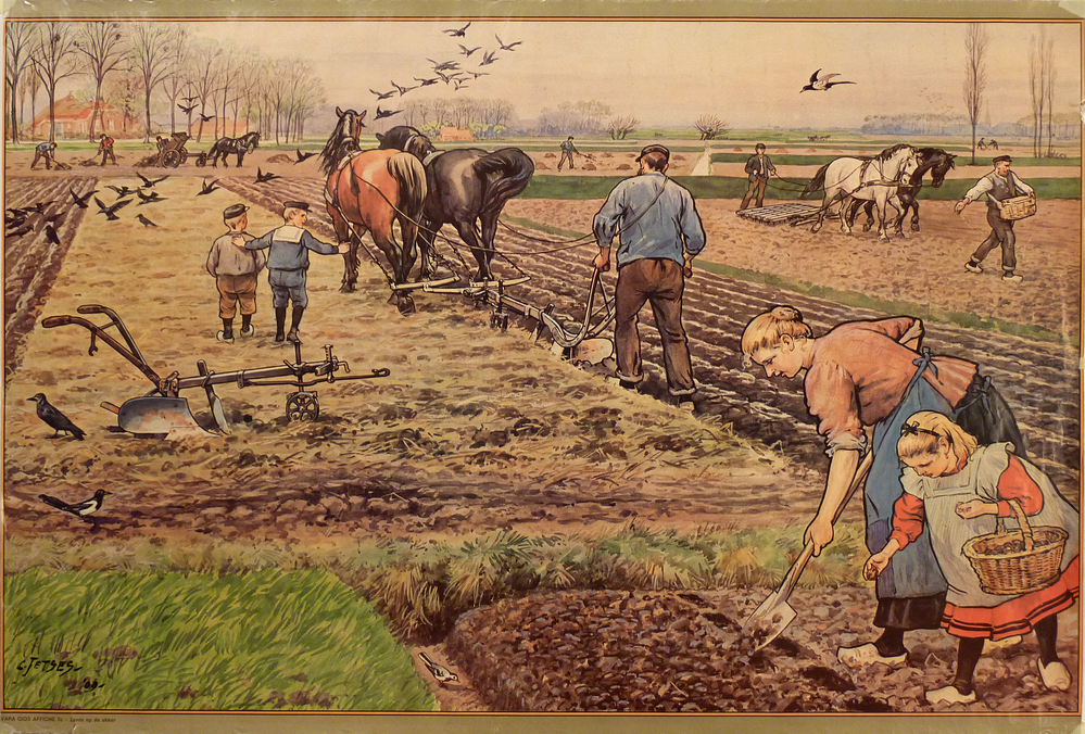 reproduktie schoolplaat Cornelis Jetses Vara gids affiche 7 C lente op de akker C Jetses 09