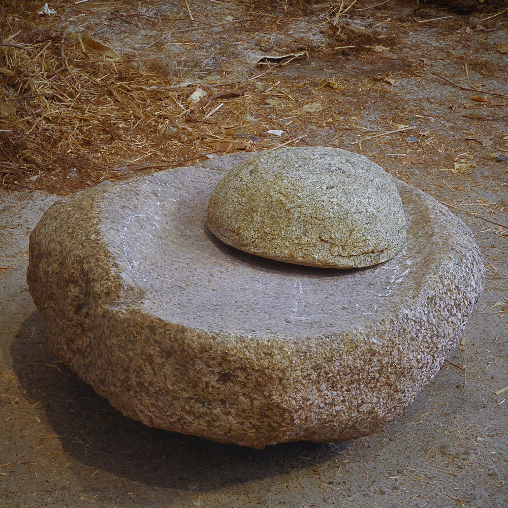 grillig gevormde steen met platte bovenkant, met daarop kleinere exemplaar met platte en bolle kant. In 1956 werd het Grote Heideveld door de BV Bosaanplanting Terborgh van de familie Everts verder ontgonnen voor nieuwe aanplant. Tijdens het ploegen werden potscherven aangetroffen waarna de archeoloog professor Waterbolk werd gewaarschuwd. Het uitvoerige archeologische onderzoek in 1957/58 bracht aan het licht dat er een reeks van bewonersactiviteiten heeft plaatsgevonden over een langere periode. Gevonden werd een aantal urnengraven met grafgiften uit het Neolithicum/de Bronstijd, een maalsteen met loper uit de Trechterbekercultuur en sporen van drie palissaden. De trechterbekercultuur is een neolithische cultuur in Noord-Europa, bestaande van ca. 4350 tot ca. 2750 v.Chr. Een maalsteen werd gebuikt voor het malen van graan.
