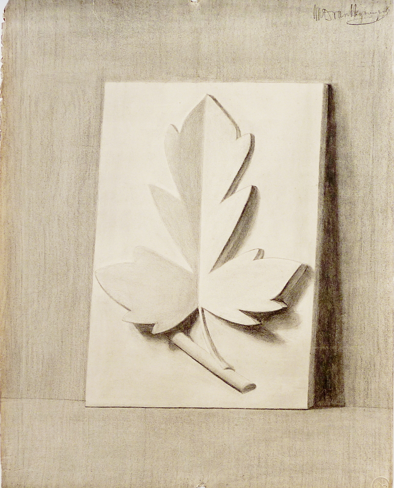 soort gestilleerde eikenblad