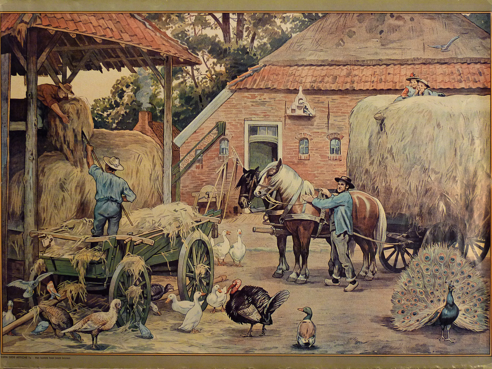 reproduktie schoolplaat Cornelis Jetses Vara gids affiche 7 A het laatste hooi komt binnen