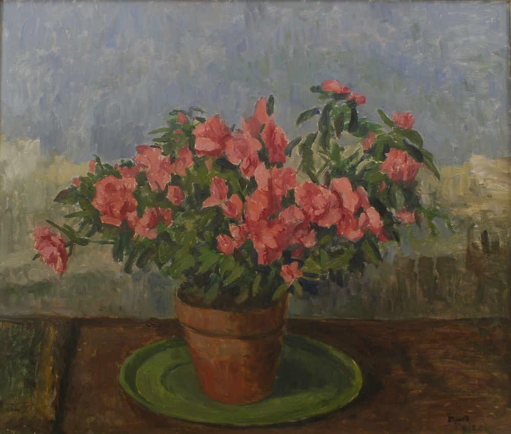 bloemen , azalea