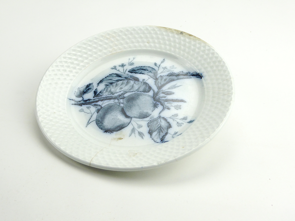 aardewerken ontbijtbord van het merk Petrus Regout & Co, Maastricht, decornaam Fruit, diameter 18 cm, op voorkant blauwe decoratie van 2 appels aan een tak met bladeren, aan achterkant gemerkt met beeldmerk 71 A van Petrus Regout, blindmerk 6 en G, opgedoken door British Sub Aqua Club, Branch 501, ook wel de 501 Divers uit Folkstone, uit het wrak van de op 19 november 1887 na een aanvaring met het stoomschip Rosa Mary gezonken stoomschip W.A. Scholten, via hun woordvoerder Glyn Jones geschonken aan het Veenkoloniaal Museum.