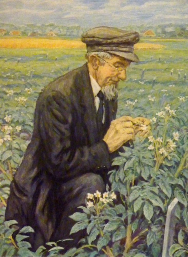 Geert Veenhuizen 1857 - 1930