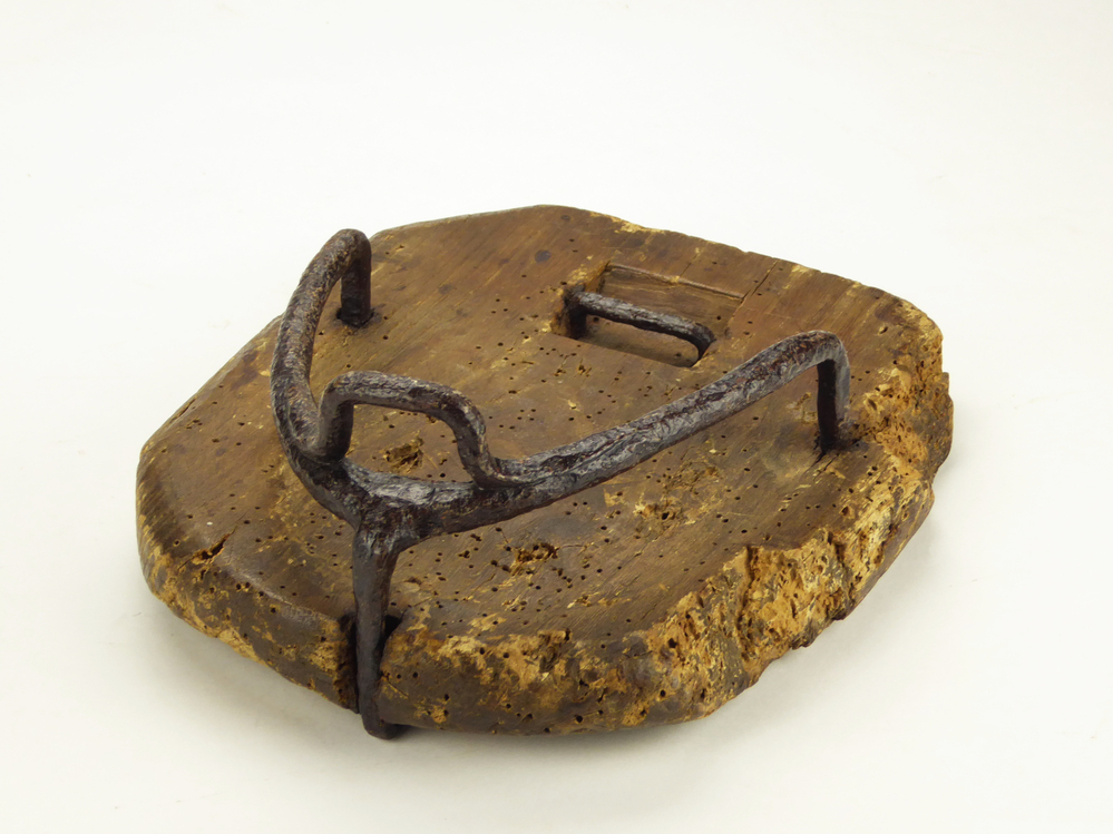 paardentrip. In het moerassige Veenkoloniale gebied was het voor paarden soms moeilijk lopen. Hun voeten zakten weg in de drassige grond. Voor boeren erg lastig als ze toch het land wilden bewerken. Daarom bonden ze paardentrippen onder de voeten van de paarden. Zo kon de boer toch zijn paard laten werken op het land.