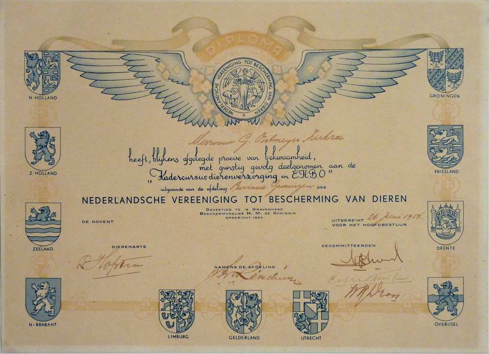diploma nederlandse vereniging tot bescherming van dieren aan mevrouw G Oostmeijer Zirkzee kadercursusdierenverzorging en EHBO