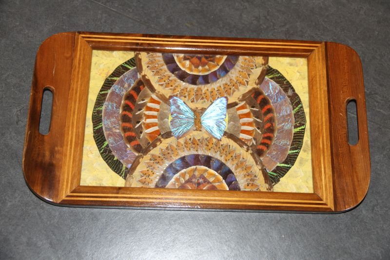 dienblad met collage van cirkelvormige vlindervleugels en vlinder