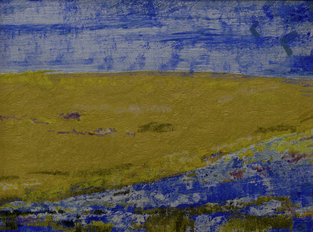 Vlucht boven 't Groninger Wad nr.1