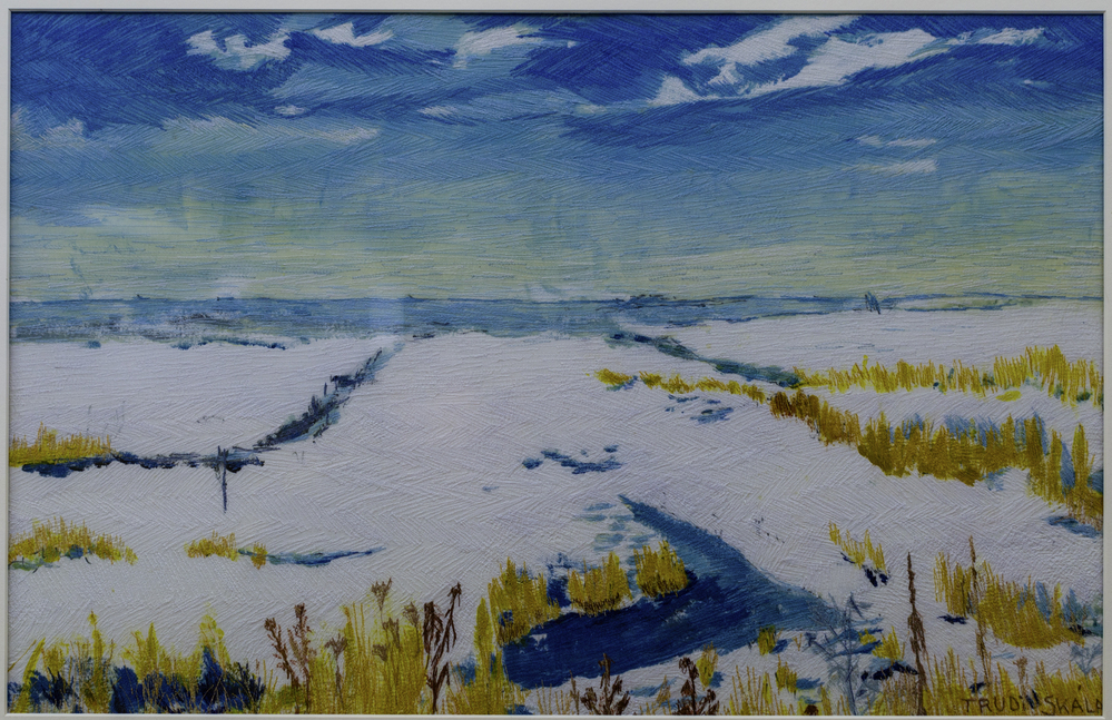 Winterlandschap bij het Wad