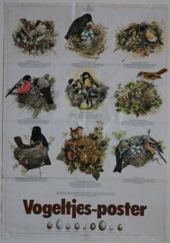 Vogeltjes