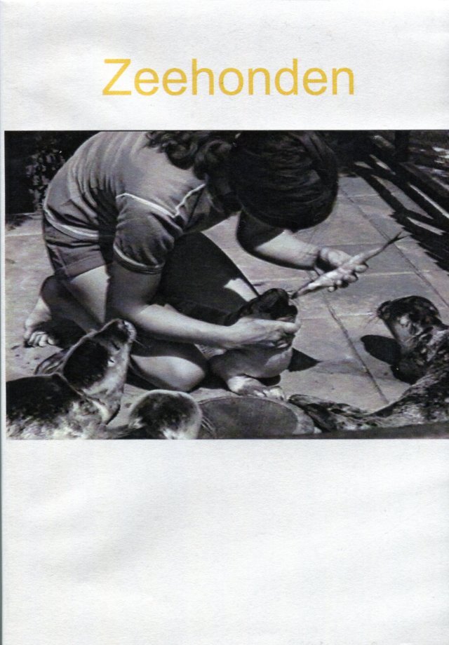 Zeehonden