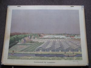 Groenteteelt bij Loosduinen