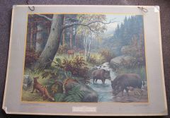 In een Duitsch bergwoud