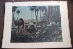 Onder de dadelpalmen