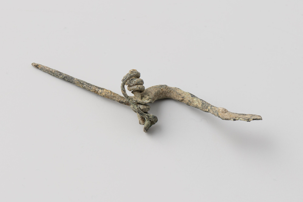 fibula