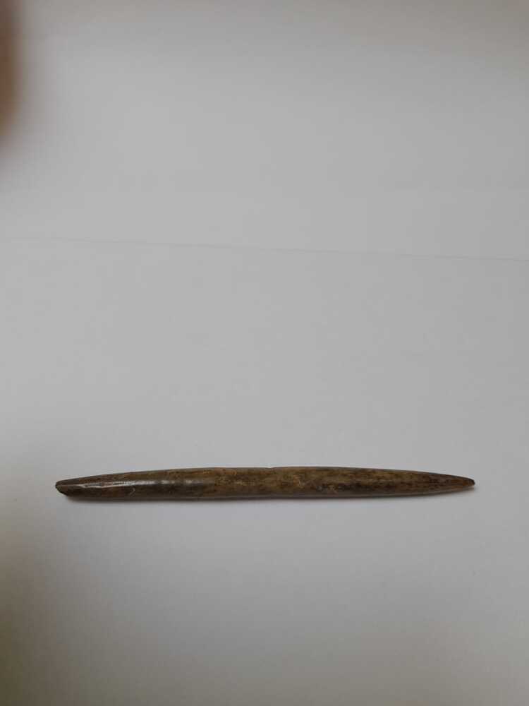 Benen priem uit Ezinge